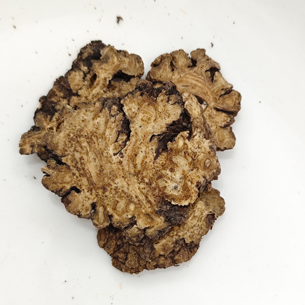 リグスティカム・チュアンシオン