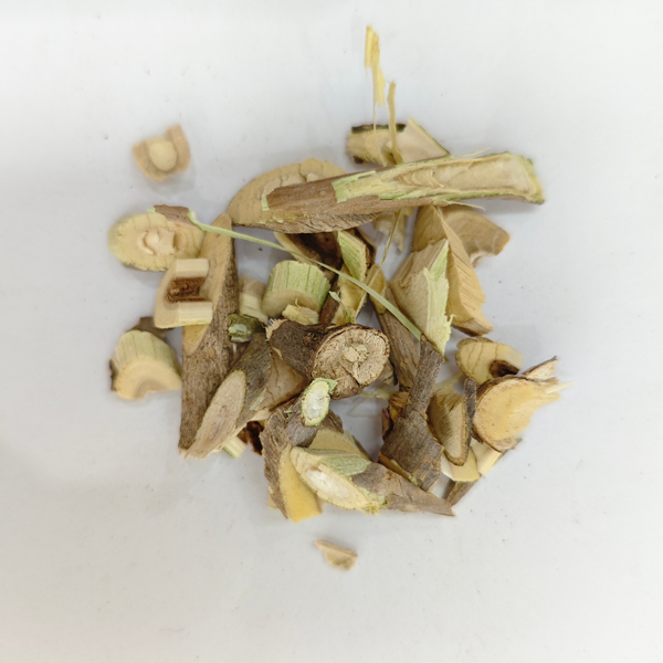 トゲオウギ（Acanthopanax senticosus）