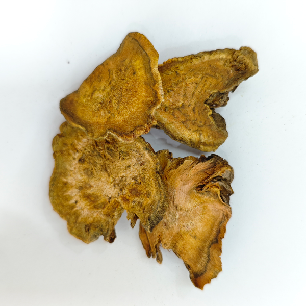 中国産ルバーブ