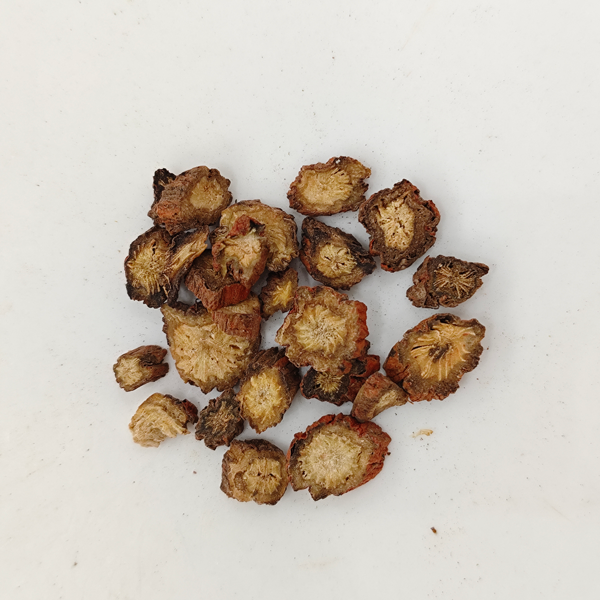 サルビアミルティオリザ