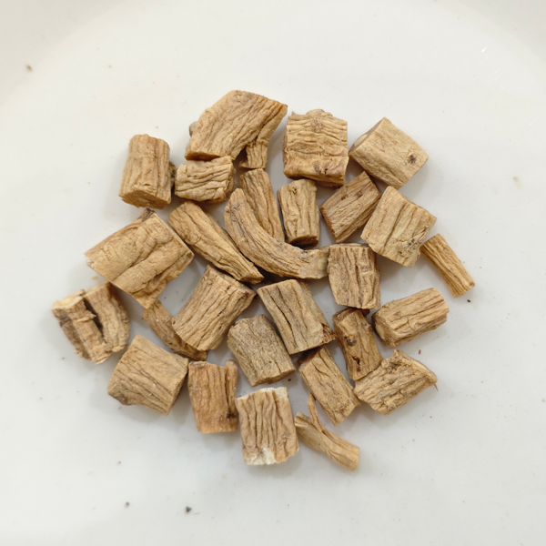 コドノプシス・ピロスラ