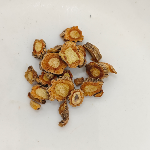 サポシュニコビア・ディバリカータ