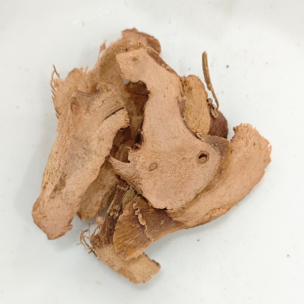 レッサーガランガ (ケンフェリア・ガランガ)