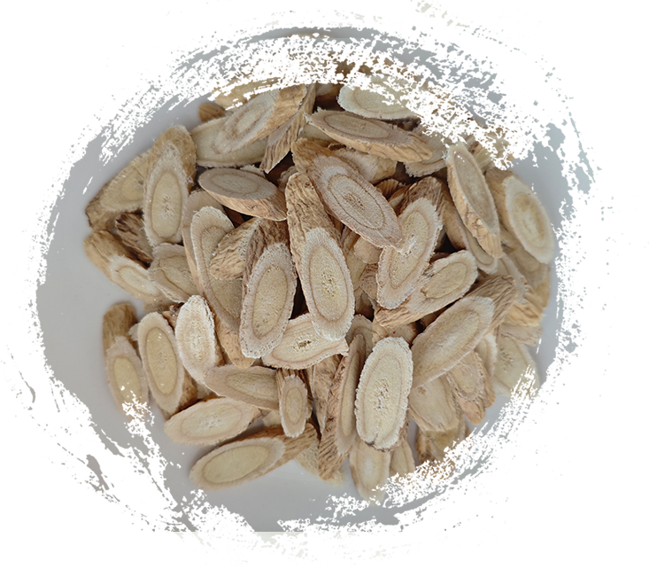 伝統中国医学（TCM）で使用されるトップ10の薬用植物