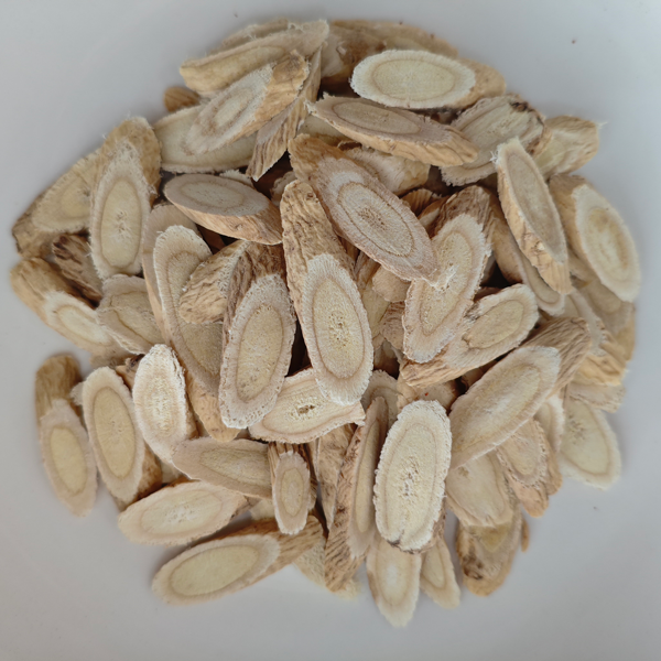 Astragalus membranaceust（TCMで使用）