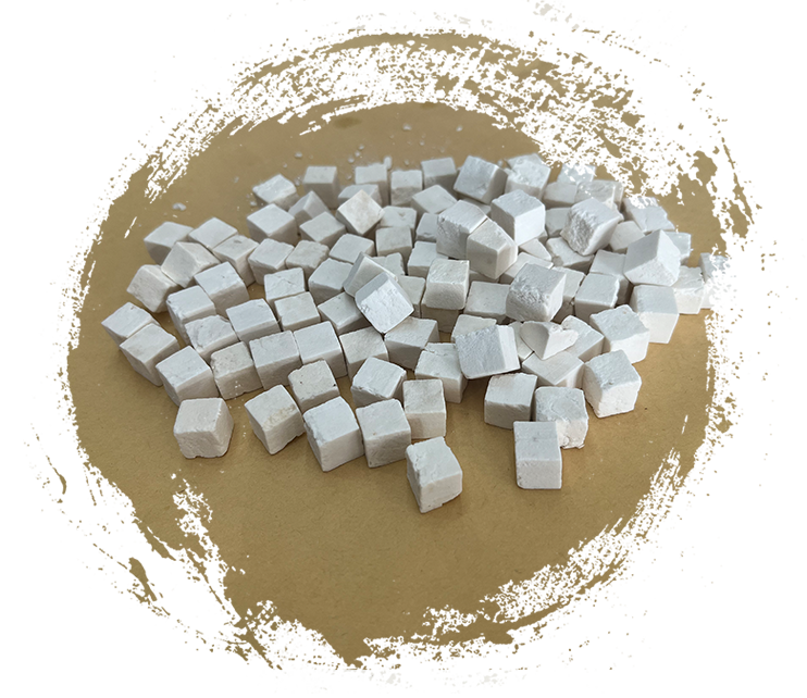 Wolfiporia extensa（木材腐朽菌）