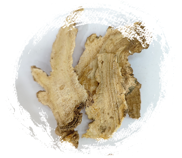 アンジェリカ・プベセンス