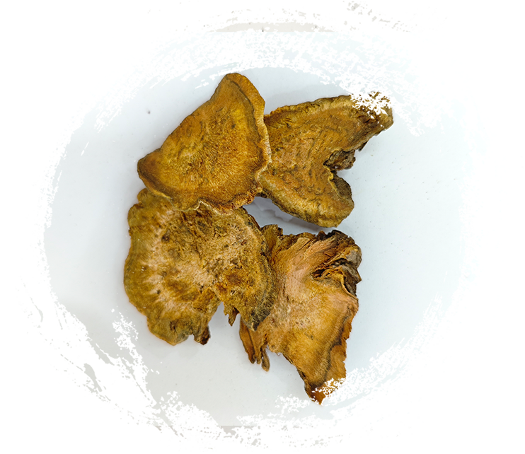 伝統的な漢方薬における薬用植物の使用を深く掘り下げる