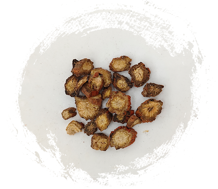 サルビアミルティオリザ