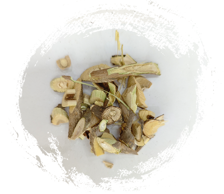 トゲオウギ（Acanthopanax senticosus）