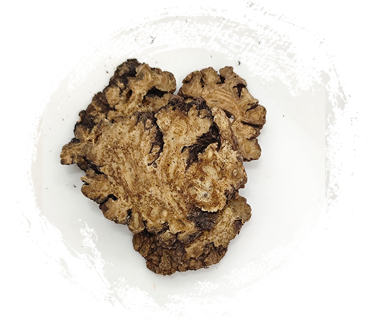 リグスティカム・チュアンシオン