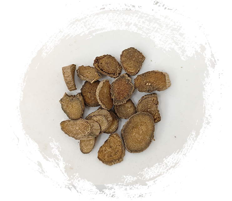 チュアンアキランテス