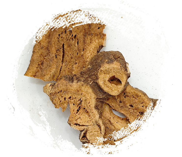 ローストしたオオアトラクチロデス・マクロセファラ