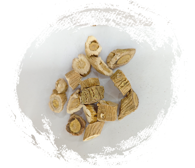 イサティディス