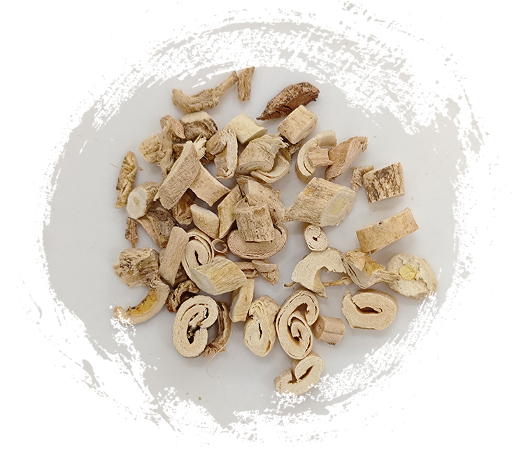 皮質ディクタムニ