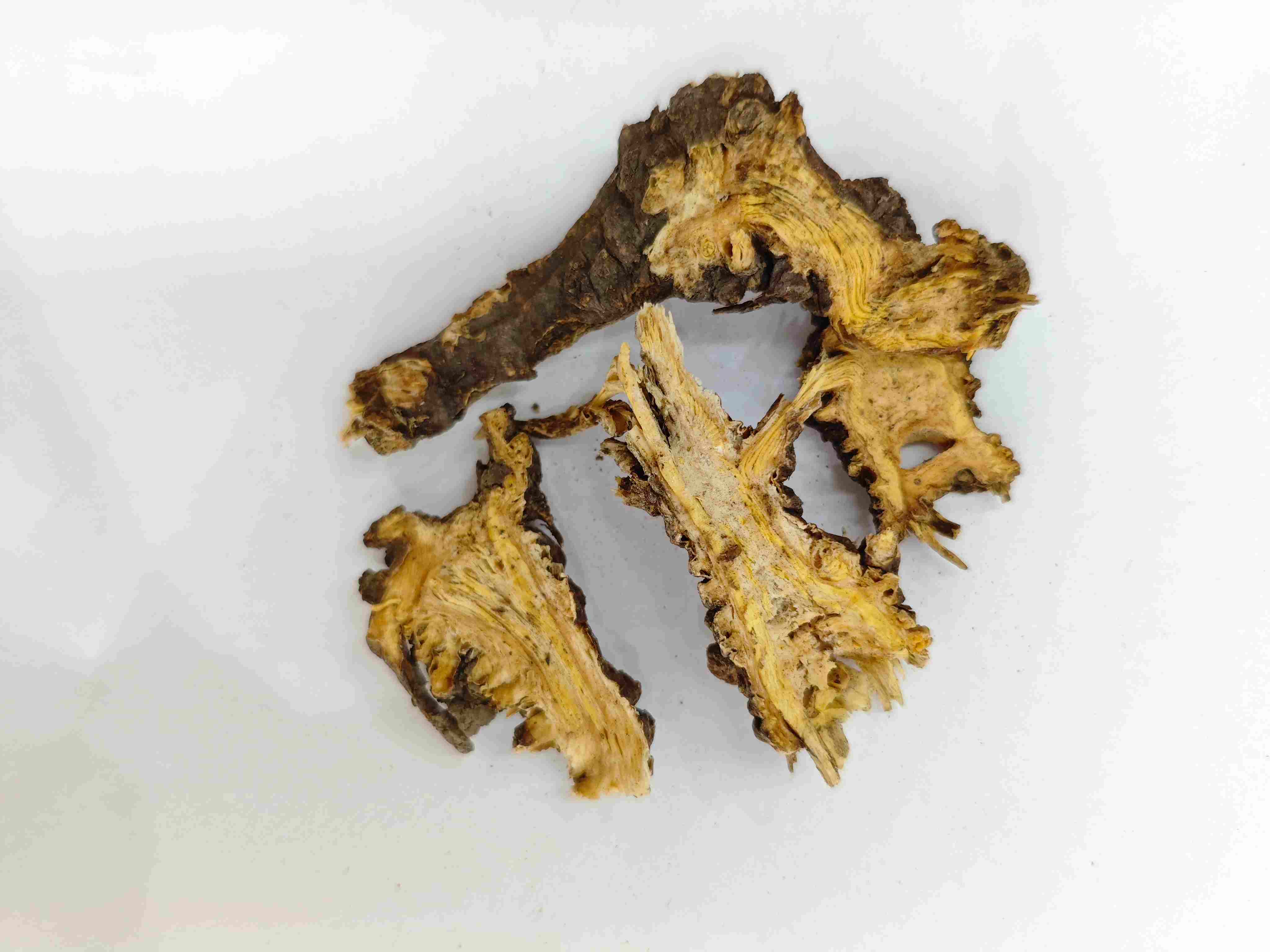 中国のワームウッド