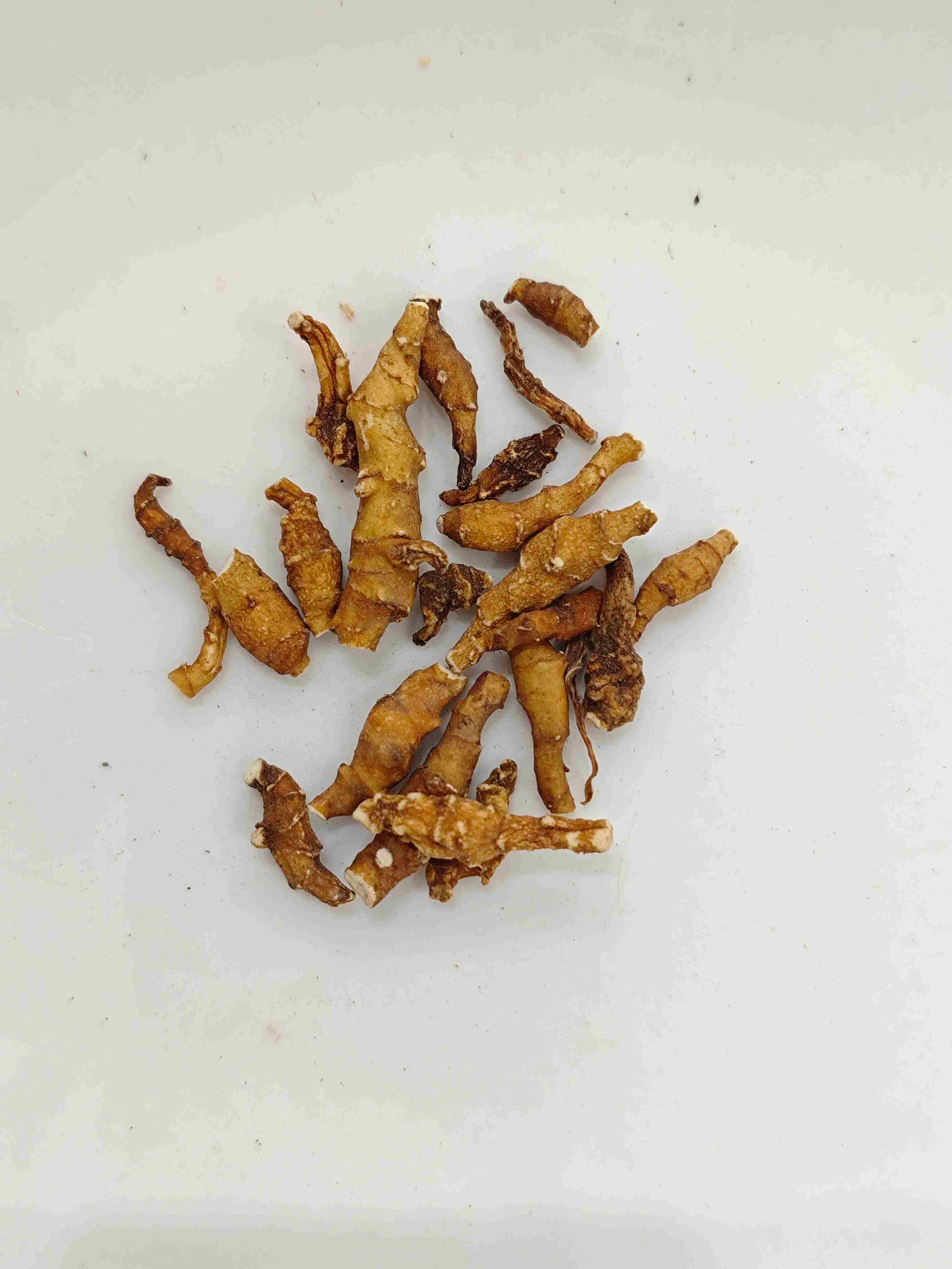 Calamus、Jiechangpu