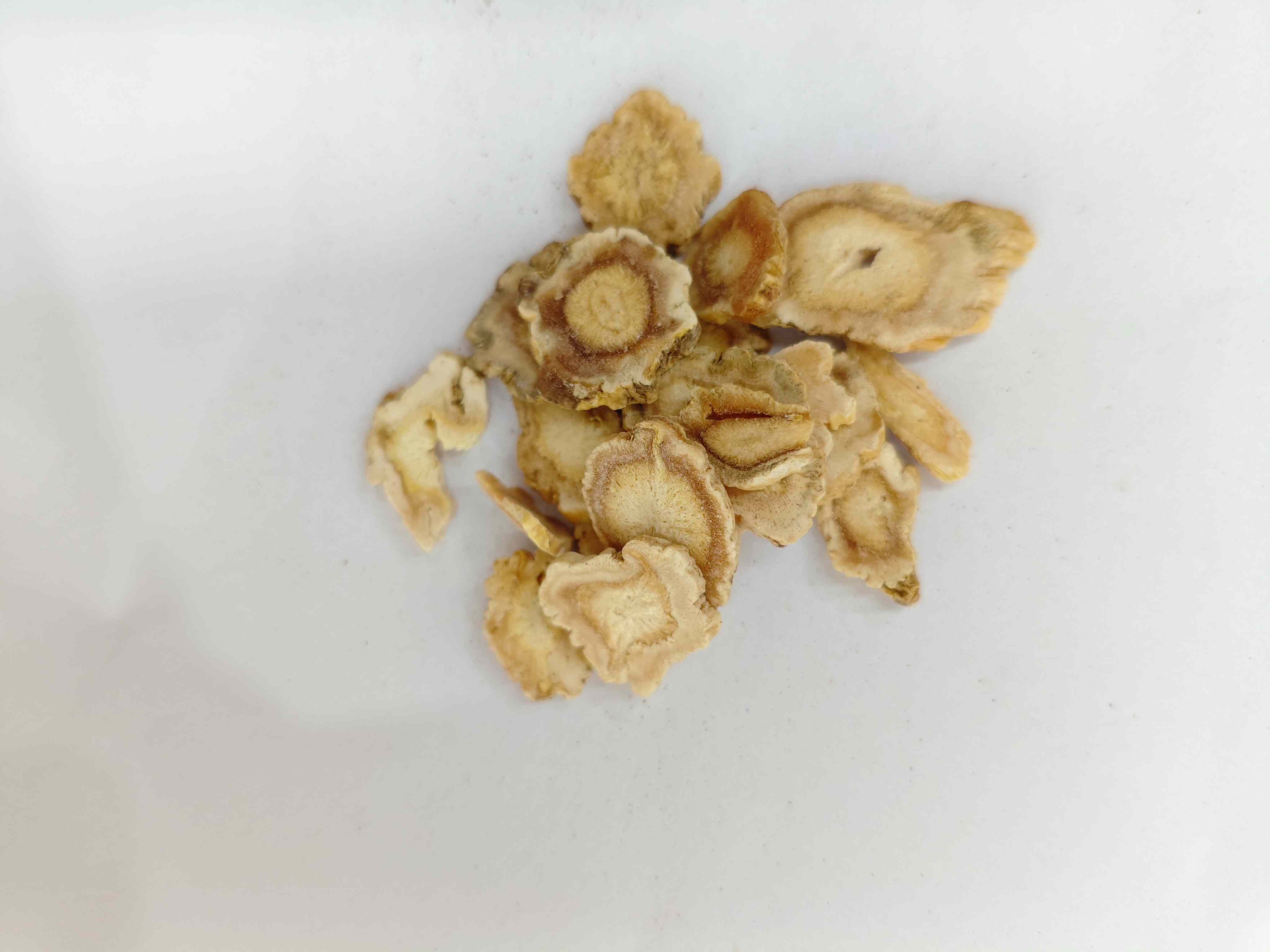 プラティコドン、ジーゲン