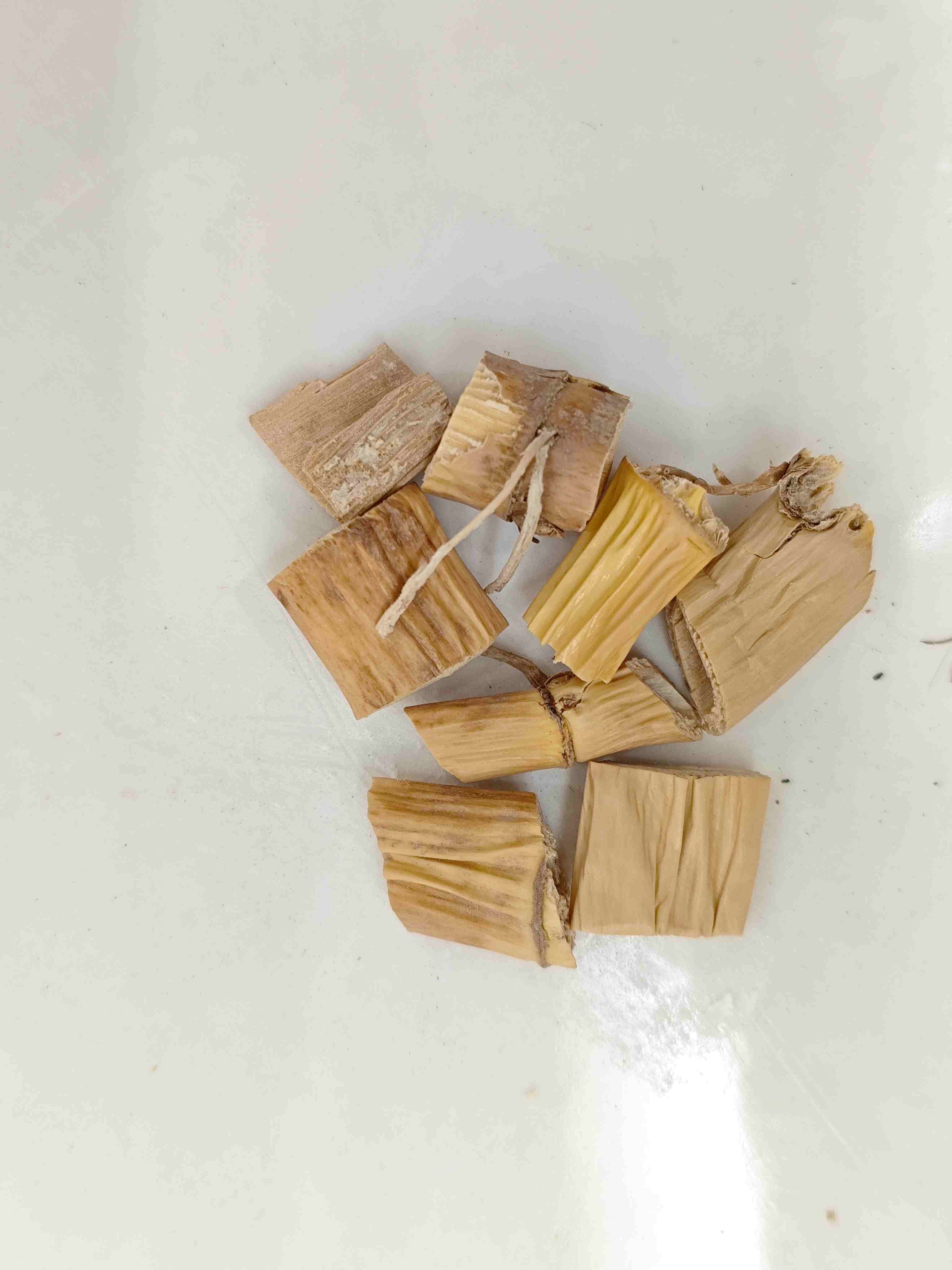 リード・リゾーム、ルーゲン