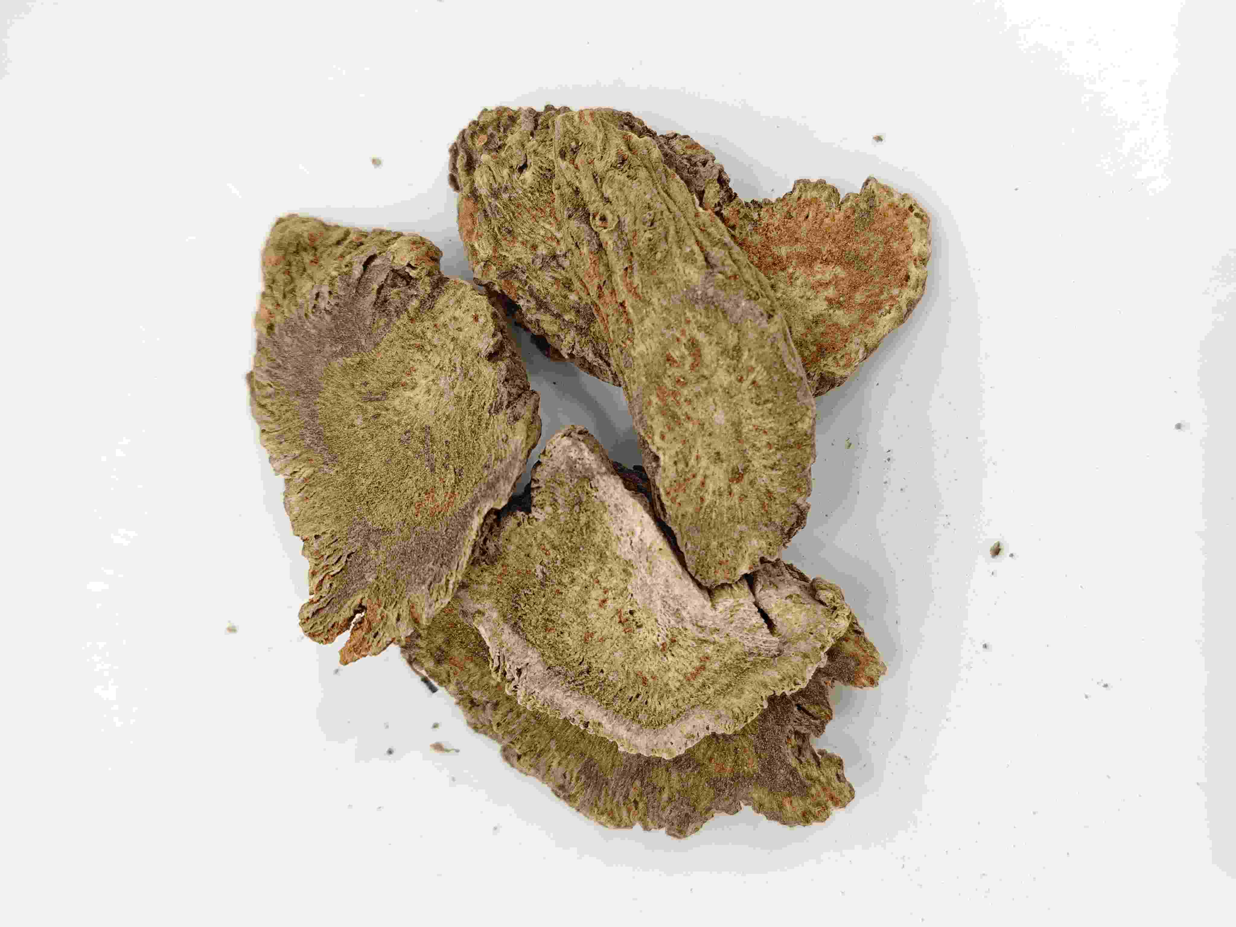 コスパスルート、ムキシアン