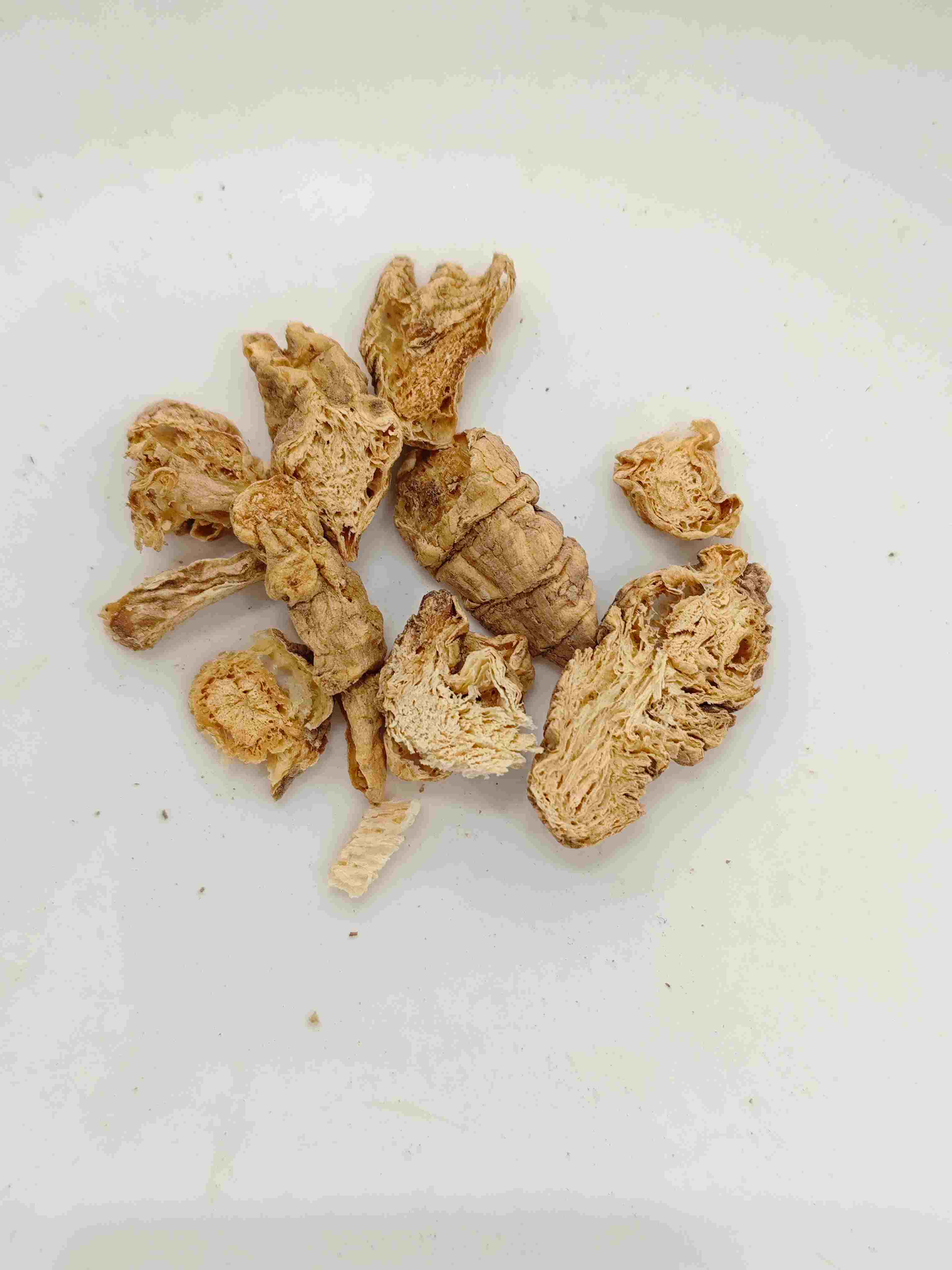 南コドノプシス、ナンシャシェン