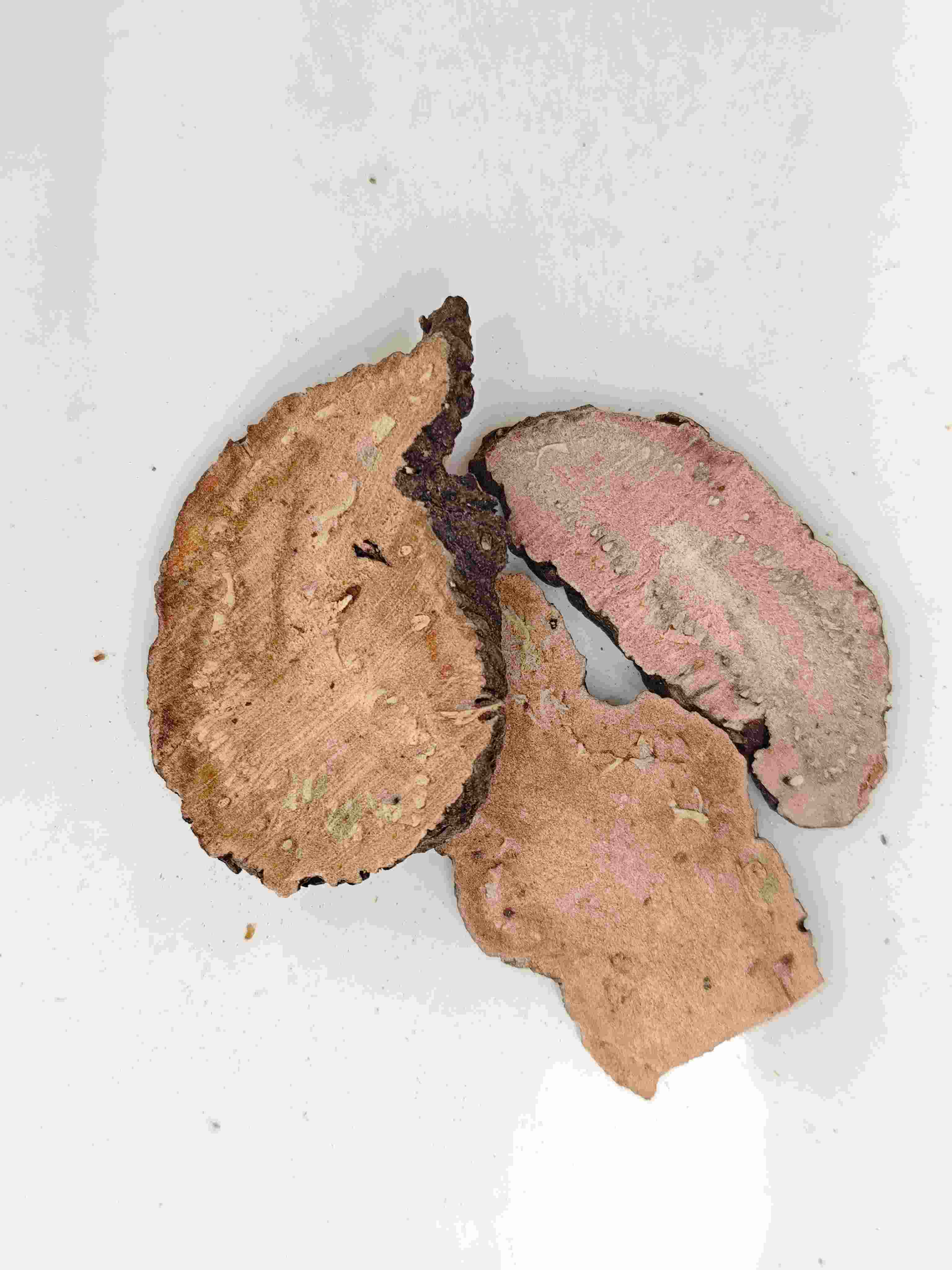 ビストルタ、Quanshen