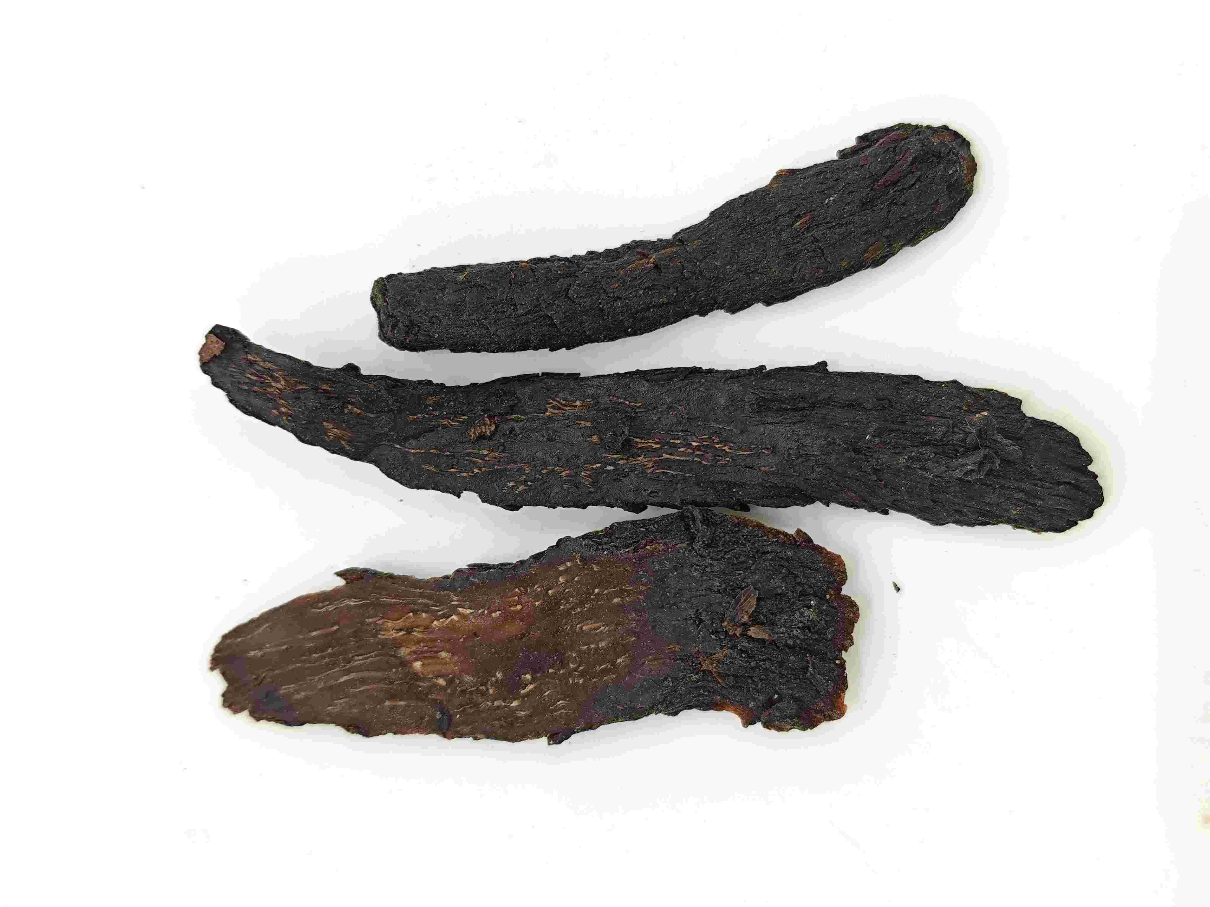 Cistanche、Roucongrong