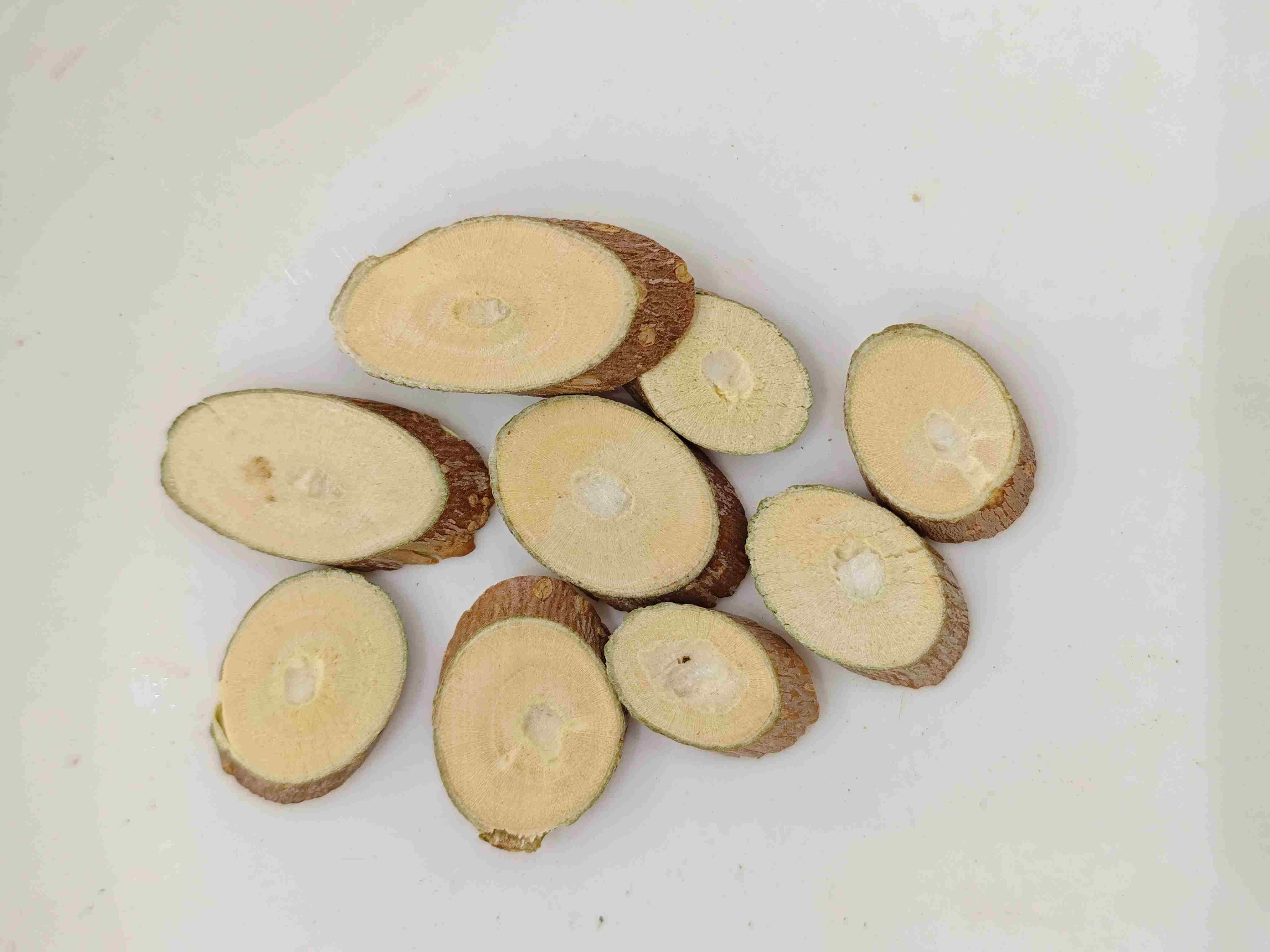 マルベリーブランチ(sangzhi)