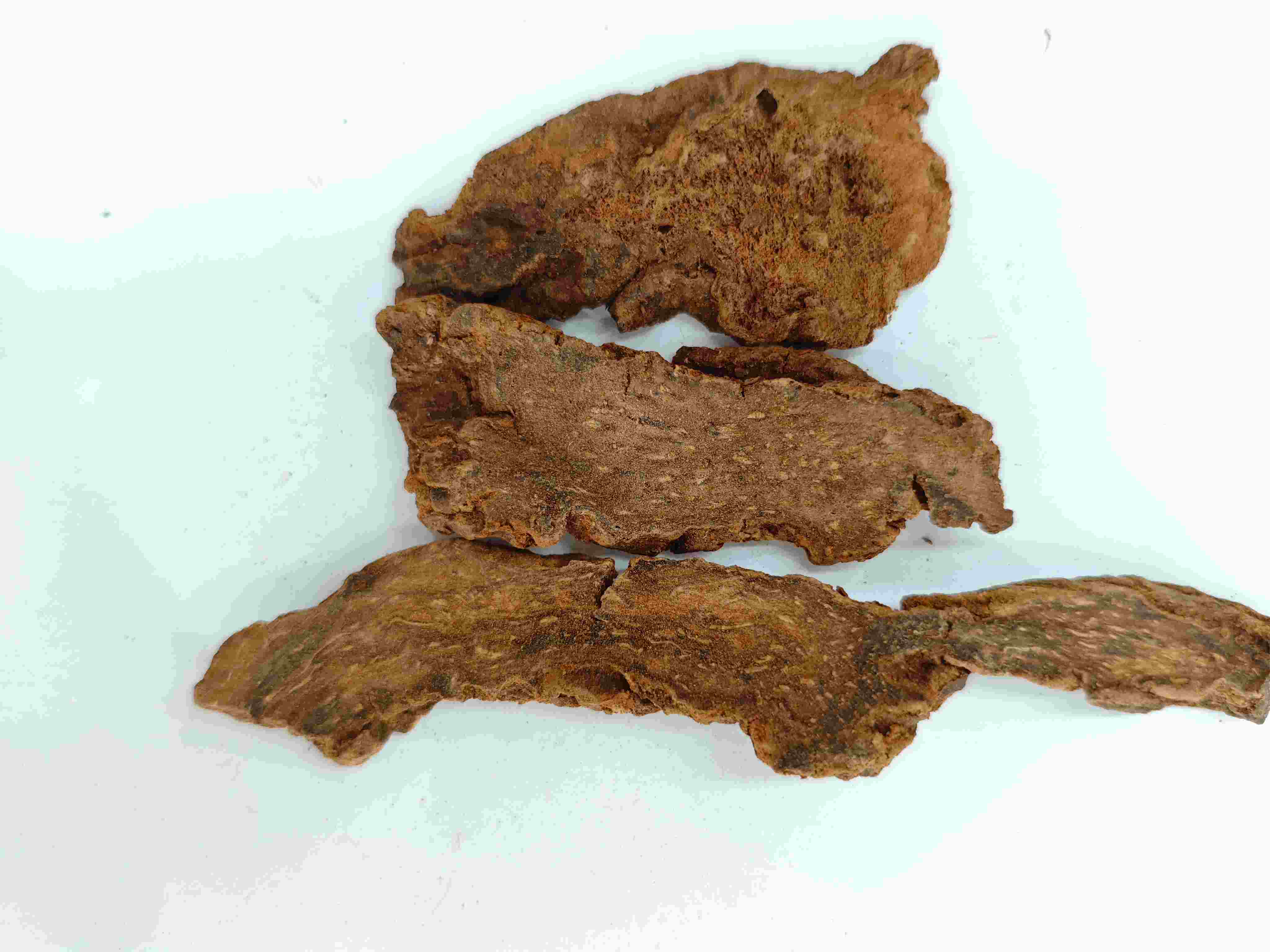 Cynomorium songaricum（suoyang）