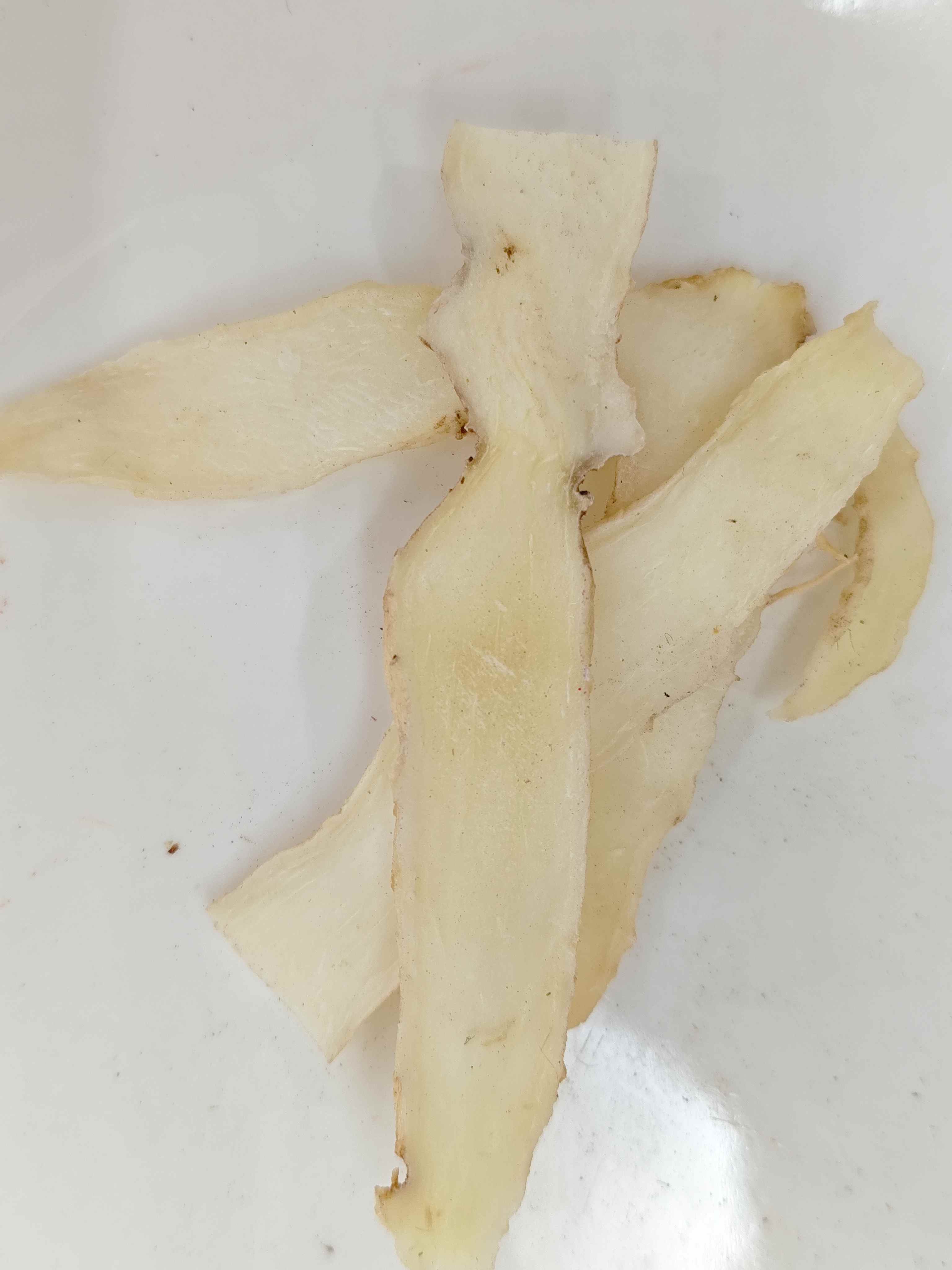 ソロモンのアザラシ(Yuzhu)