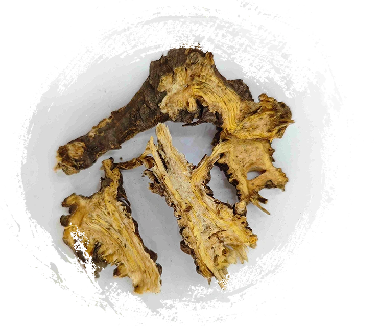 中国のワームウッド