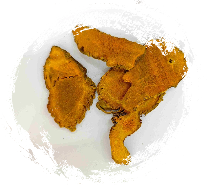 ターメリック、jianghuang