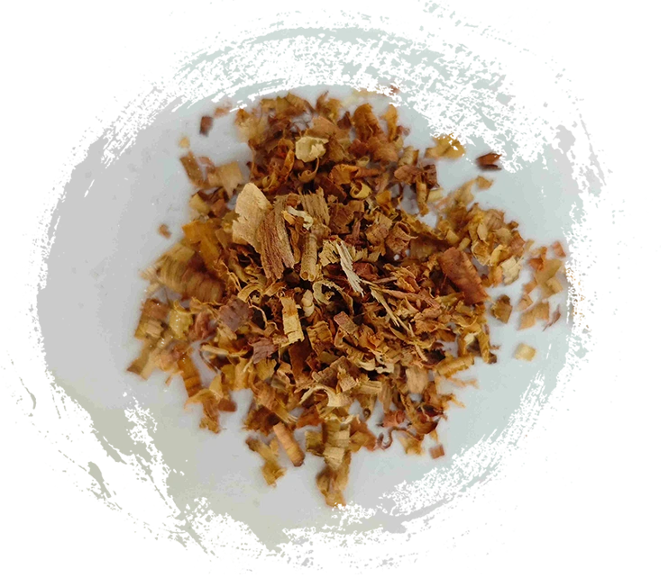 Aquilaria、Jiangxiang