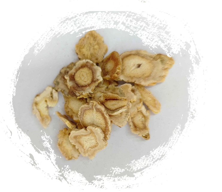 プラティコドン、ジーゲン