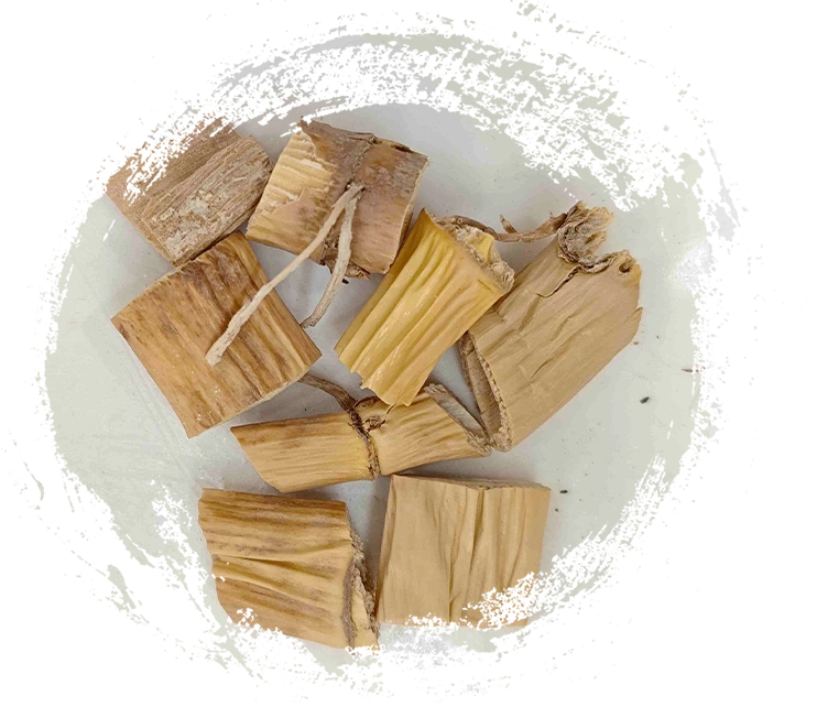 リード・リゾーム、ルーゲン