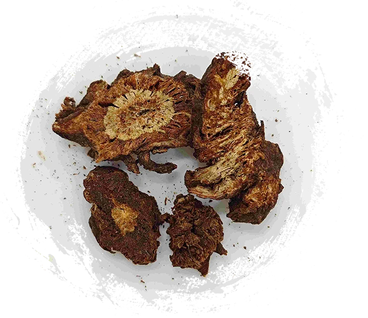 Notopterygium、Qianghuo