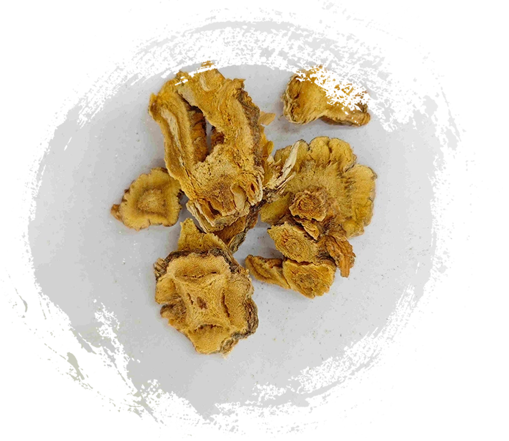 Gentiana Macrophylla、Qinjiao