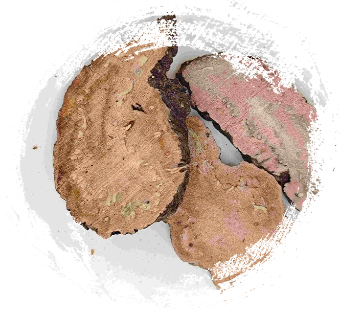 ビストルタ、Quanshen