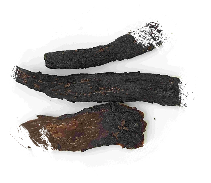 Cistanche、Roucongrong