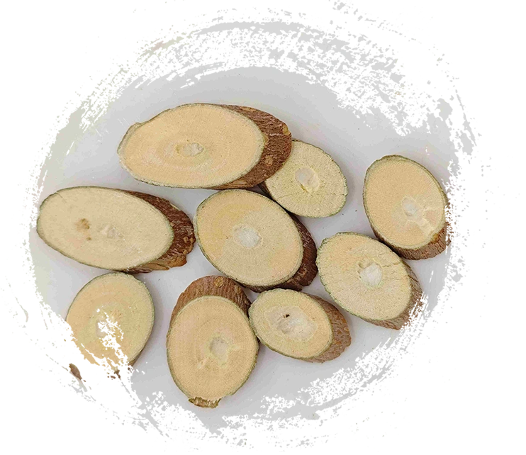 マルベリーブランチ（sangzhi）