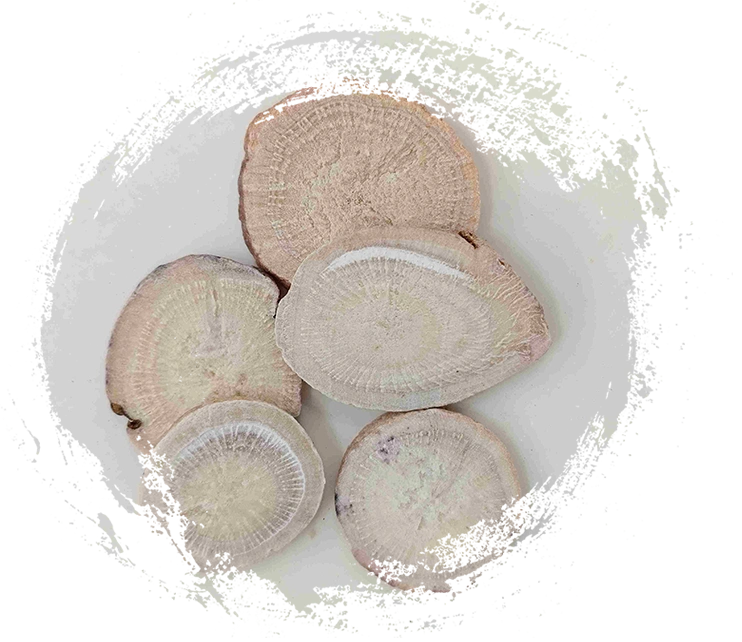 ホワイトペオンルート（Sheng Baishao）