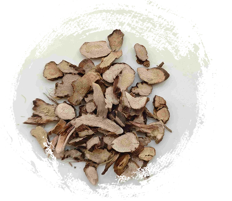 Calamus Rhizome（Shichangpu）