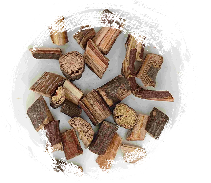 多角形の多lorumステム（shouwuteng）