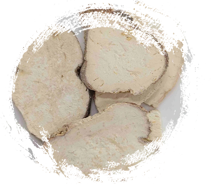 Trichosanthes Root（Tianhuafen）