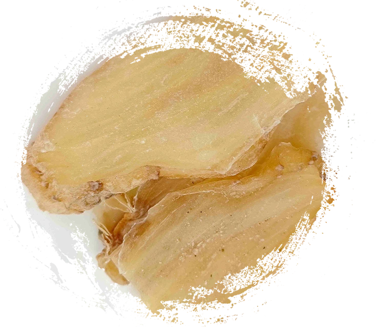 Gastrodia Rhizome（Tianma）