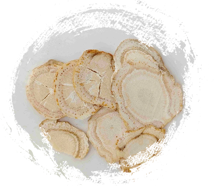 植物を使った伝統中国医学の力を探る TCM