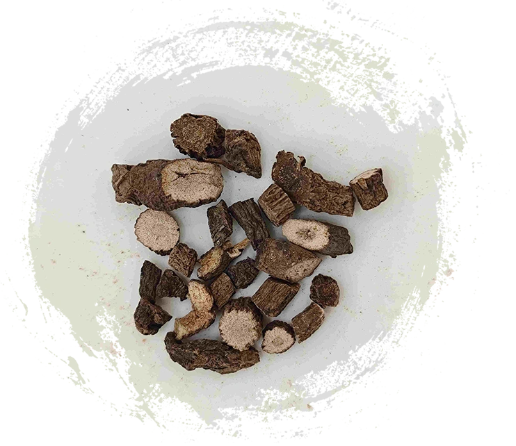 curculigo rhizome（xianmao）