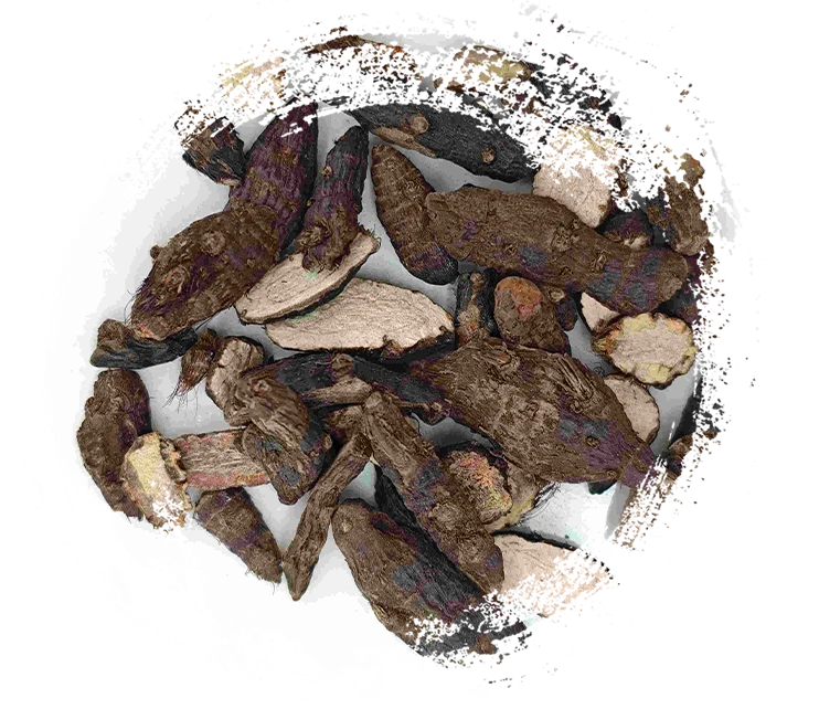 Cyperus Rhizome（Xiangfu）