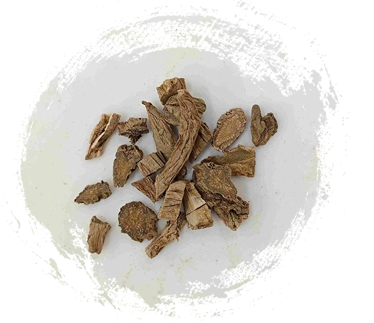 Drynaria Rhizome（Xuduan）