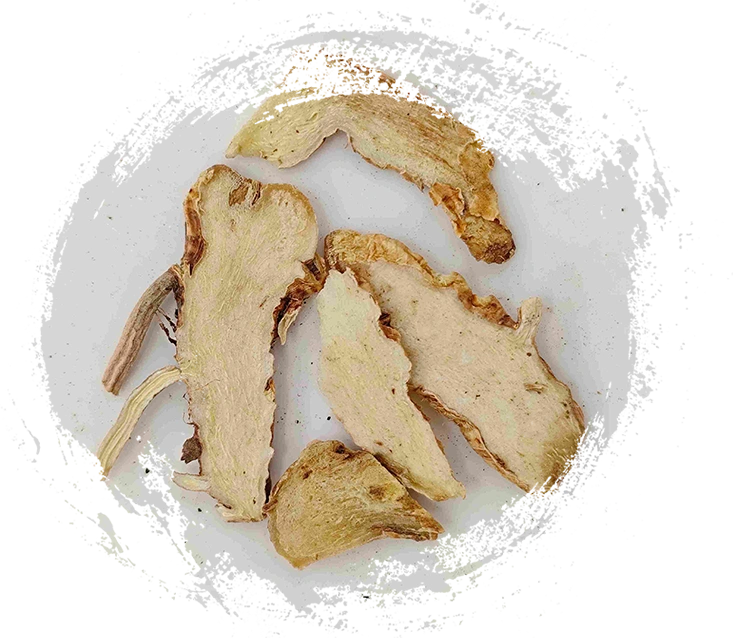 Anemarrhena Rhizome（Zhimu）